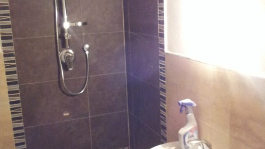 Monolocale BAGNO A RIPOLI